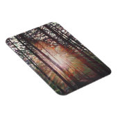 Sunburst 2010 magnet (Rechte Seite)