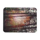 Sunburst 2010 magnet (Horizontal)