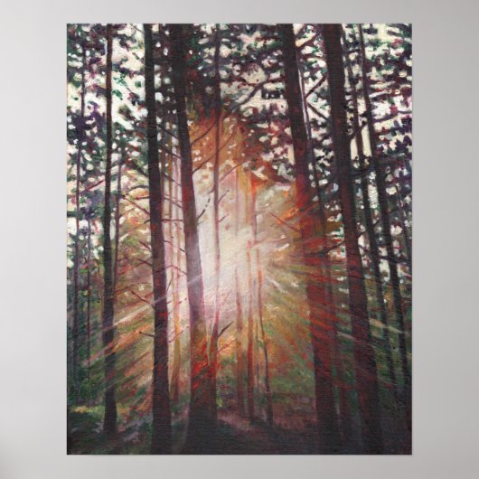 Sunburst 2010 poster (Vorne)