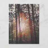 Sunburst 2010 postkarte (Vorderseite)