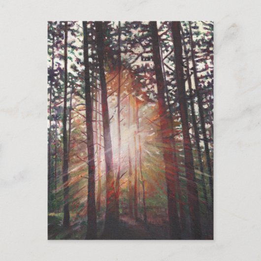 Sunburst 2010 postkarte (Vorderseite)