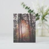 Sunburst 2010 postkarte (Stehend Vorderseite)