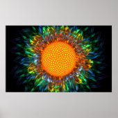Sunburst Daisy Poster (Vorne)