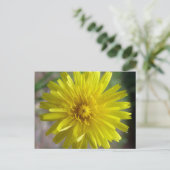 Sunburst Dew Postkarte (Stehend Vorderseite)