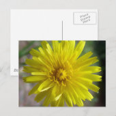 Sunburst Dew Postkarte (Vorne/Hinten)