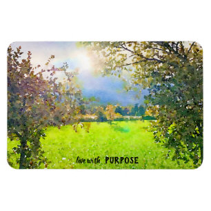 Sunburst Fall Foliage am Islerhof Magnet