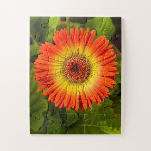 Sunburst Gerbera | Alzheimer’s Tribute Puzzle (Vertikal)