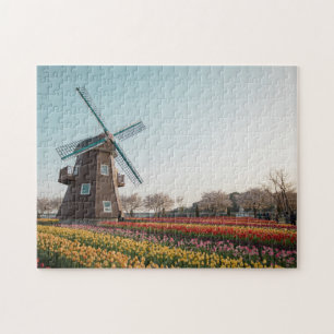 Suncheon Bay The Dutch Garden Windmill Tulip Jigsa Puzzle