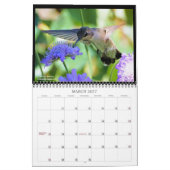 Suncrest 2021 Hummingbird Calendar Kalender (Mär 2027)