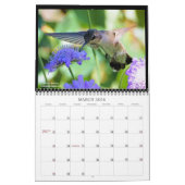 Suncrest 2021 Hummingbird Calendar Kalender (Mär 2026)