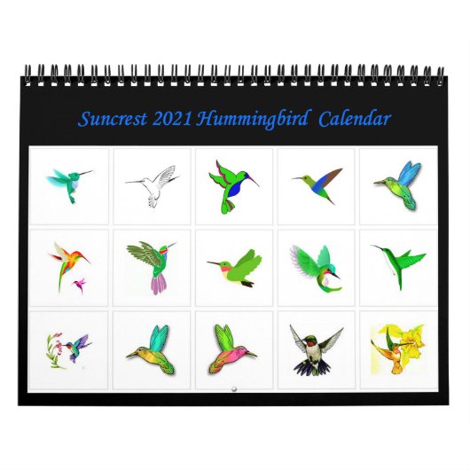Suncrest 2021 Hummingbird Calendar Kalender (Titelbild)