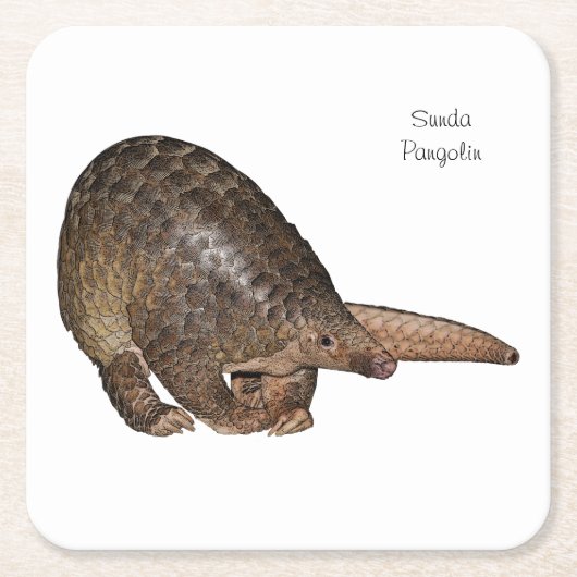 Sunda Pangolin-Untersetzer Rechteckiger Pappuntersetzer (Vorderseite)