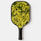 Sundance Mexican Orange Pflanze Floral Pickleball Schläger (Rückseite)