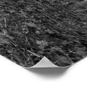 Sundance, Utah Poster (Ecke)