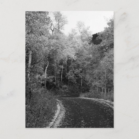 Sundance, Utah Postkarte (Vorderseite)