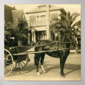 Sunday Best Poster (Vorne)