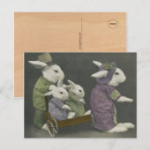 Sunday Bunnies Postcard Postkarte (Vorne/Hinten)