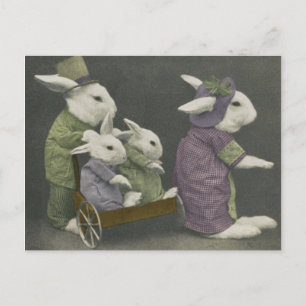 Sunday Bunnies Postcard Postkarte