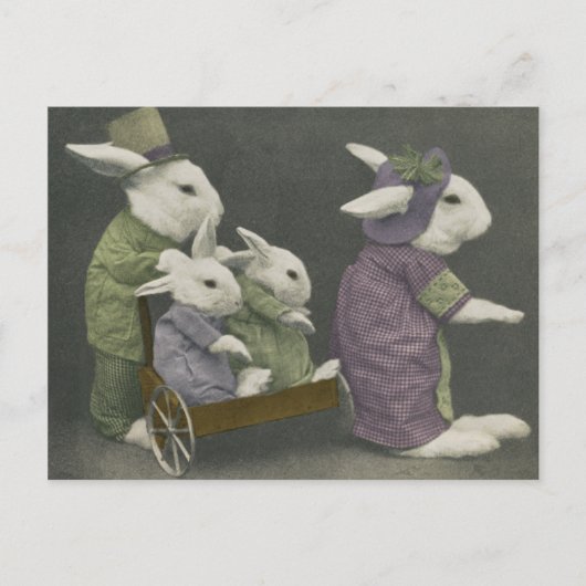 Sunday Bunnies Postcard Postkarte (Vorderseite)