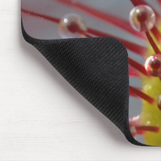 Sundew Fleisch fressende Pflanze Mousepad (Ecke)