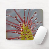Sundew Fleisch fressende Pflanze Mousepad (Mit Mouse)