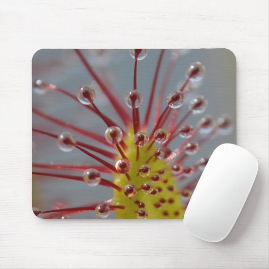 Sundew Fleisch fressende Pflanze Mousepad (Mit Mouse)