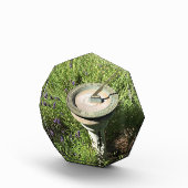 Sundial in Lavendel Fotoblock (Rechts)