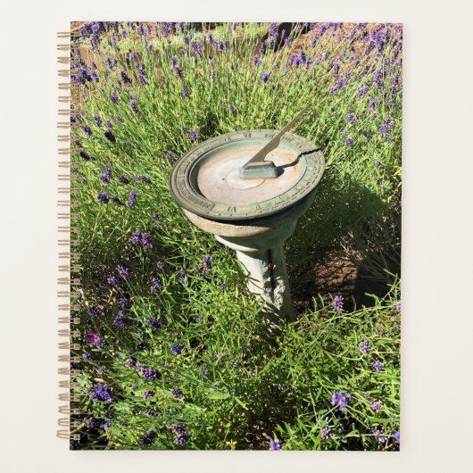 Sundial in Lavendel Planer (Vorderseite)