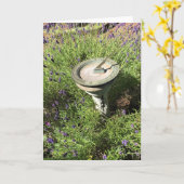 Sundial in Lavender Karte (Gelbe Blume)