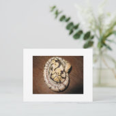 Sundin Ball Pythons Postkarte (Stehend Vorderseite)