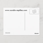 Sundin Ball Pythons Postkarte (Rückseite)