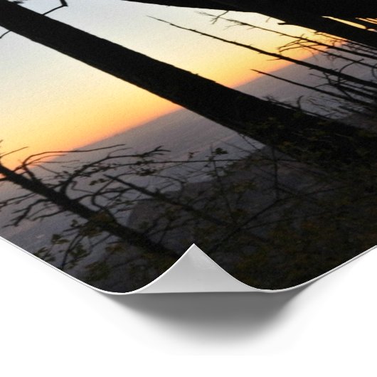 Sundown Silhouette Poster (Ecke)