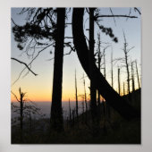 Sundown Silhouette Poster (Vorne)