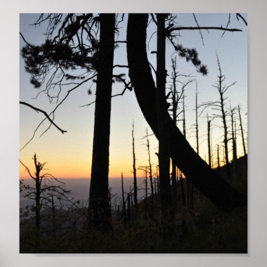 Sundown Silhouette Poster (Vorne)