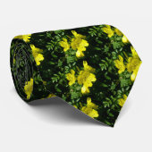 Sundrops Primrose-Koordinationselemente Krawatte (Gerollt)