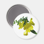 Sundrops Primrose-Koordinationselemente Magnet (Vorderseite/Rückseite)