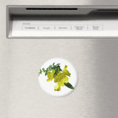 Sundrops Primrose-Koordinationselemente Magnet (In Situ (Geschirrspüler))