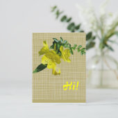 Sundrops Primrose-Koordinationselemente Postkarte (Stehend Vorderseite)