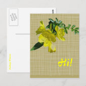 Sundrops Primrose-Koordinationselemente Postkarte (Vorne/Hinten)