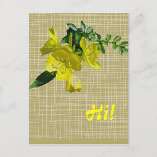 Sundrops Primrose-Koordinationselemente Postkarte