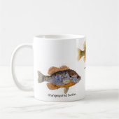 Sunfish 3 auf einer Tasse (Links)