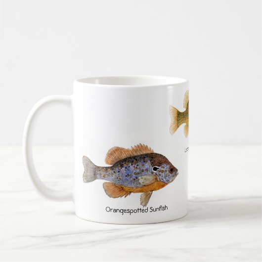 Sunfish 3 auf einer Tasse (Links)