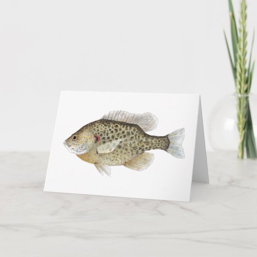 Sunfish Greetings Card Karte (Vorderseite)