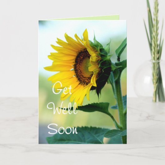Sunflower 703 Get Well or any occasion Karte (Vorderseite)