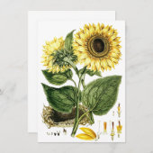 SUNFLOWER BLUME Botanische Leere Party Einladungen (Vorne/Hinten)