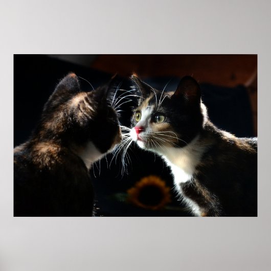 Sunflower & Cats Gift Wrap – Dramatic Feline Momen Poster (Vorne)
