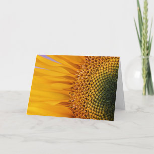 Sunflower Closeup Greeting Card (Blank Inside) Karte