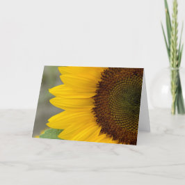 Sunflower Dark Right Karte