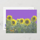 Sunflower DIY Postcard Postkarte (Vorne/Hinten)