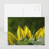 Sunflower DIY Postcard Postkarte (Vorne/Hinten)